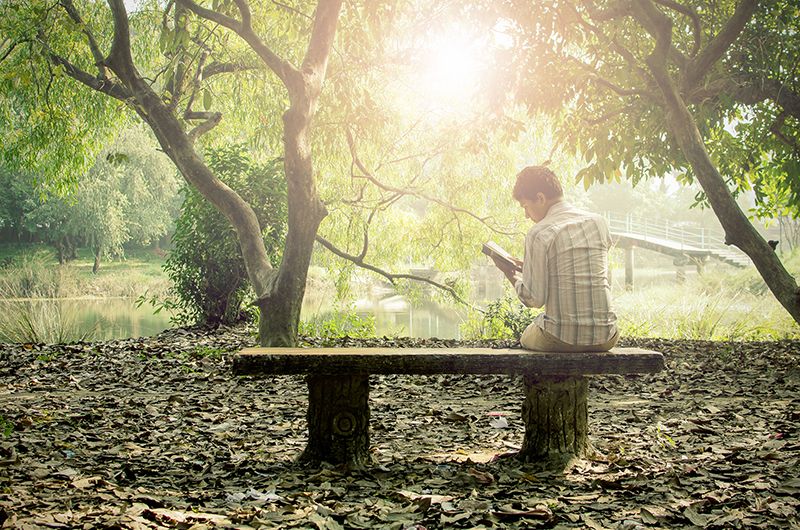 静かな公園のベンチで読書する男性