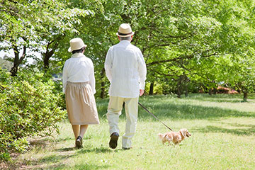 緑の中散歩をする老夫婦