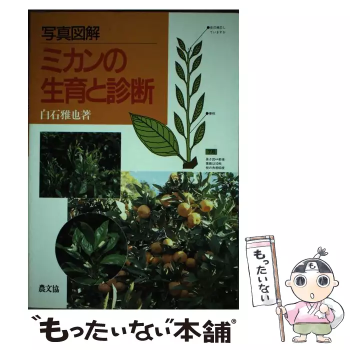 【中古】 写真図解ミカンの生育と診断/農山漁村文化協会/白石雅也 写真図解 ミカンの生育と診断 / 白石 雅也 / 農山漁村文化協会 【送料